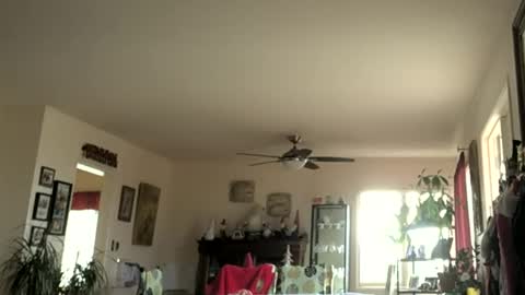 Monkee Dance online show from 01/01/25, 07:43