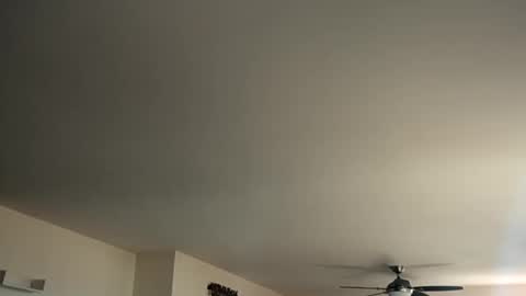 Monkee Dance online show from 01/12/25, 05:44