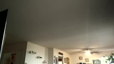 Monkee Dance online show from 02/04/25, 05:12