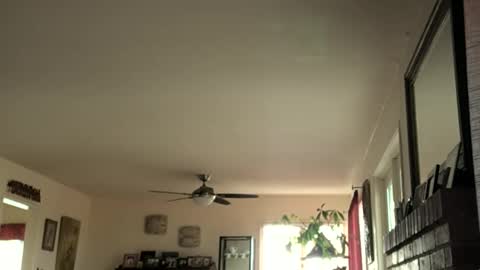 Monkee Dance online show from 02/16/25, 05:37