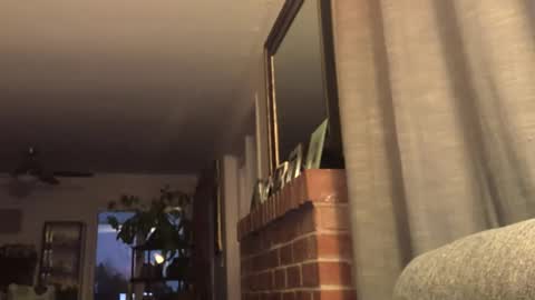 Monkee Dance online show from 02/22/25, 02:17