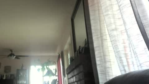 Monkee Dance online show from 03/12/25, 05:28