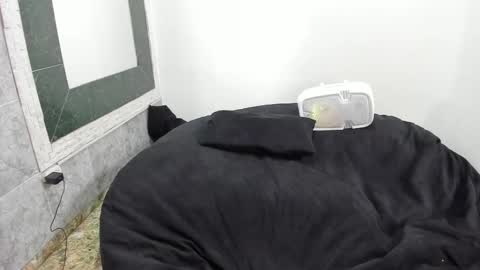 monkeyd_66 online show from 02/18/25, 09:10