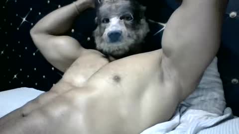 moreno1muscular online show from 03/04/25, 09:11