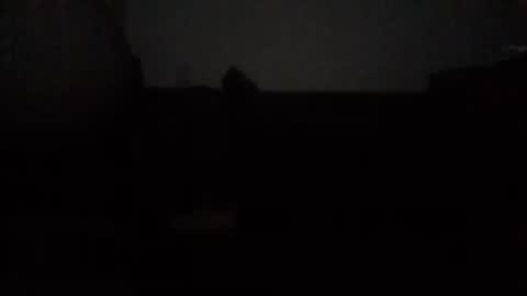 Nikola online show from 10/15/25, 12:44