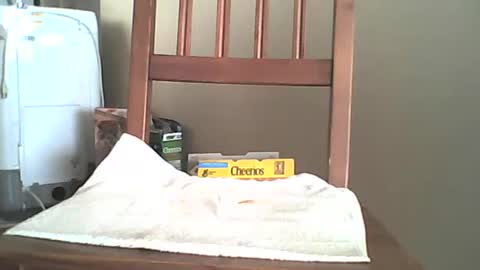 Snapshot of mrroarke chatting on 10/06/25, 11:35 Longshot online show from 10/06/25, 11:35