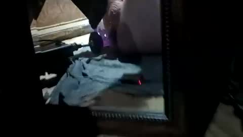 muddflapz online show from 11/07/25, 08:47