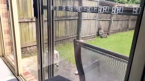 Snapshot of mudjimba chatting on 12/17/24, 06:02 mudjimba online show from 12/17/24, 06:02