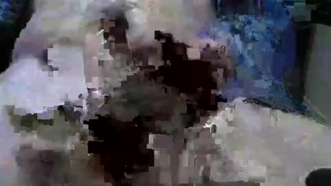 Snapshot of mycock594498 chatting on 01/09/25, 03:12 mycock594498 online show from 01/09/25, 03:12