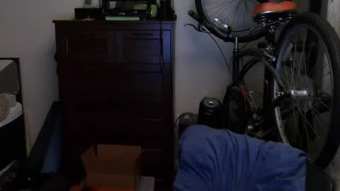 Snapshot of mysecretaccount0311 chatting on 12/29/24, 06:56 Tony online show from 12/29/24, 06:56