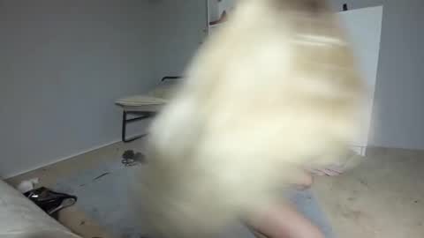 Snapshot of nadyasoft chatting on 11/05/25, 04:18 Nadyasoft online show from 11/05/25, 04:18