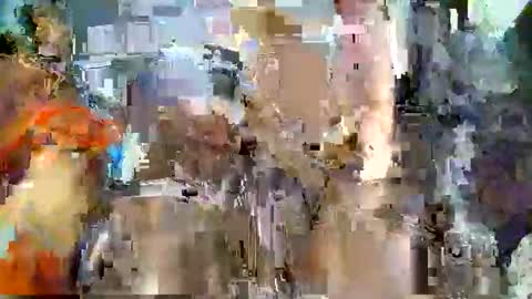 nafertiti online show from 11/05/25, 04:40