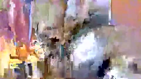 nafertiti online show from 11/10/25, 03:49