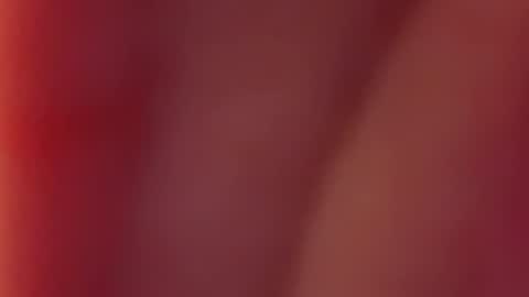 Nancy and Archi online show from 12/12/24, 07:52