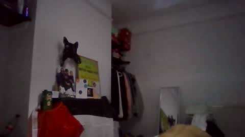 NarcoMarco online show from 11/11/25, 01:49