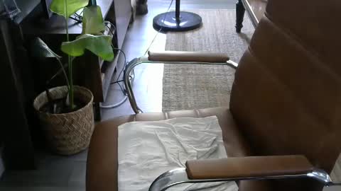 Snapshot of nareth338 chatting on 09/19/25, 08:42 nareth338 online show from 09/19/25, 08:42