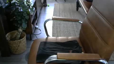 Snapshot of nareth338 chatting on 10/30/25, 06:30 nareth338 online show from 10/30/25, 06:30