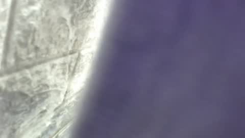 Snapshot of natalieevansx chatting on 11/16/25, 03:39 natalieevansx online show from 11/16/25, 03:39