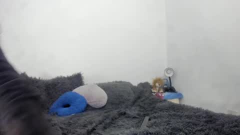 Snapshot of nathaly_love96 chatting on 09/15/25, 06:19 Nathaly online show from 09/15/25, 06:19
