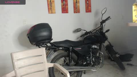 Stella Mcqueen online show from 12/21/24, 09:04