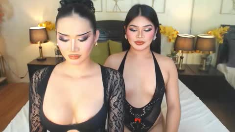 F R A N Z I A online show from 11/15/25, 10:12