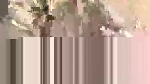 ndsckd online show from 09/12/25, 11:54