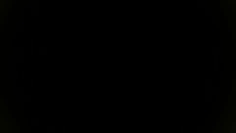 Snapshot of needfullthx chatting on 11/08/25, 07:34 Sebastian online show from 11/08/25, 07:34