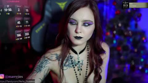 Snapshot of nelle_ chatting on 12/29/24, 10:23    online show from 12/29/24, 10:23