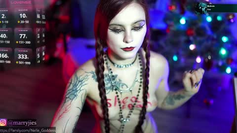 Snapshot of nelle_ chatting on 12/30/24, 04:19    online show from 12/30/24, 04:19