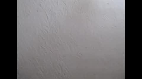 Nensy online show from 11/14/25, 07:45