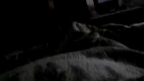 Matt online show from 12/11/24, 07:42