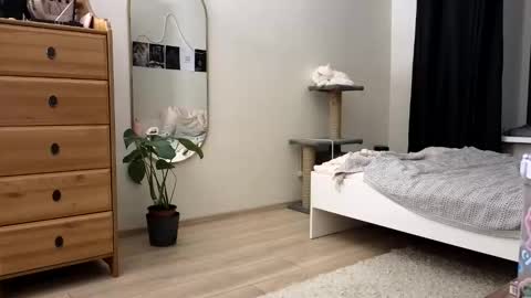 Nova online show from 11/11/25, 04:18