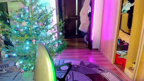 Nicky Weekends online show from 01/14/25, 12:00