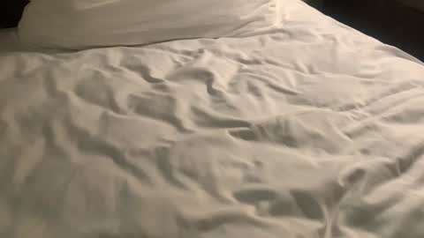 Snapshot of nickzoos3 chatting on 01/29/25, 09:55 Nick Zoos online show from 01/29/25, 09:55