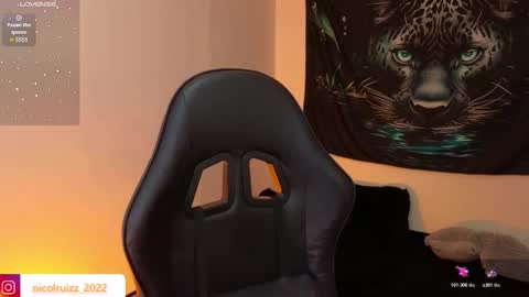 Nicol online show from 11/13/25, 08:41