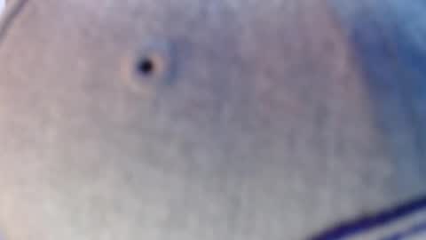 Snapshot of nicolas_torres99 chatting on 12/12/24, 07:19 nicolas online show from 12/12/24, 07:19