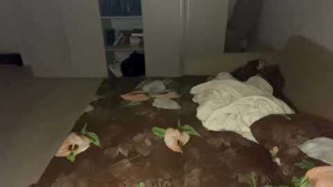 Sana online show from 10/01/25, 08:26