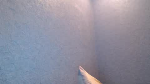 NikayShadow online show from 02/05/25, 04:47