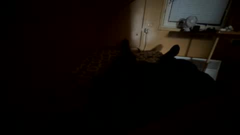 Nikk online show from 09/20/25, 08:37