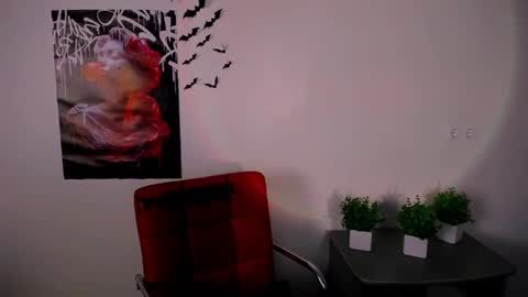 Snapshot of nikonara_ chatting on 02/12/25, 04:11 nikonara_ online show from 02/12/25, 04:11