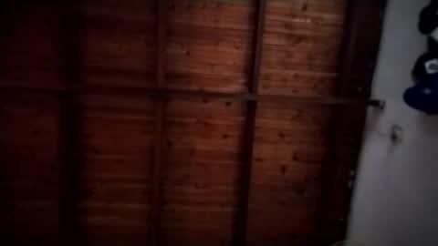 nimapolo online show from 11/09/25, 10:30