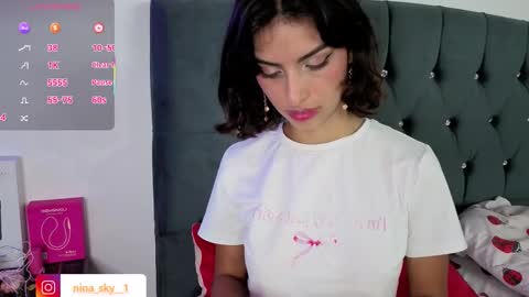 Snapshot of ninasky19 chatting on 11/14/25, 12:31 ninasky19 online show from 11/14/25, 12:31