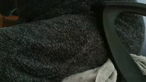 Snapshot of nineinchhard chatting on 10/12/25, 11:09 nineinchhard online show from 10/12/25, 11:09