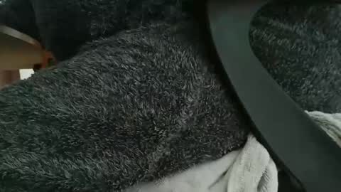 Snapshot of nineinchhard chatting on 10/22/25, 10:26 nineinchhard online show from 10/22/25, 10:26