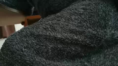 Snapshot of nineinchhard chatting on 10/28/25, 10:19 nineinchhard online show from 10/28/25, 10:19