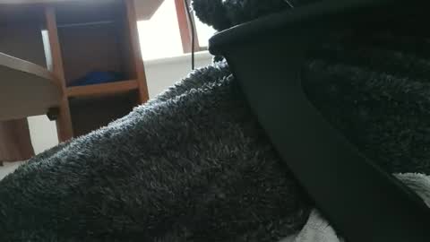 Snapshot of nineinchhard chatting on 10/30/25, 10:49 nineinchhard online show from 10/30/25, 10:49