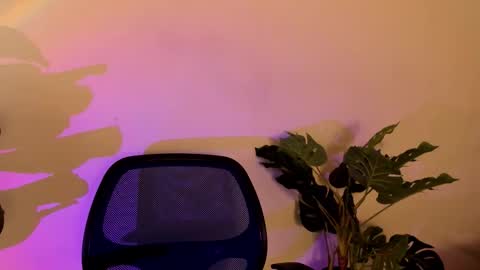 noah_dupont_ online show from 11/10/25, 11:42