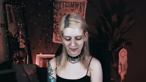 Snapshot of noah_elmer chatting on 11/14/25, 05:22 REAL name LiaDM are always open online show from 11/14/25, 05:22