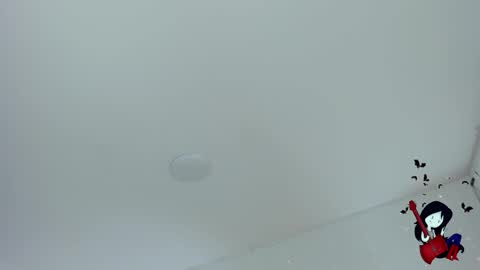 Noah  online show from 10/29/25, 06:48