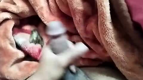 sim  nib online show from 12/28/24, 05:44